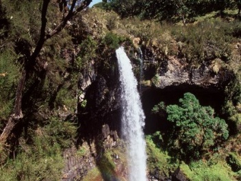 Chania Falls Aberdares